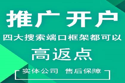 竞价广告案例分析：品牌成功之道